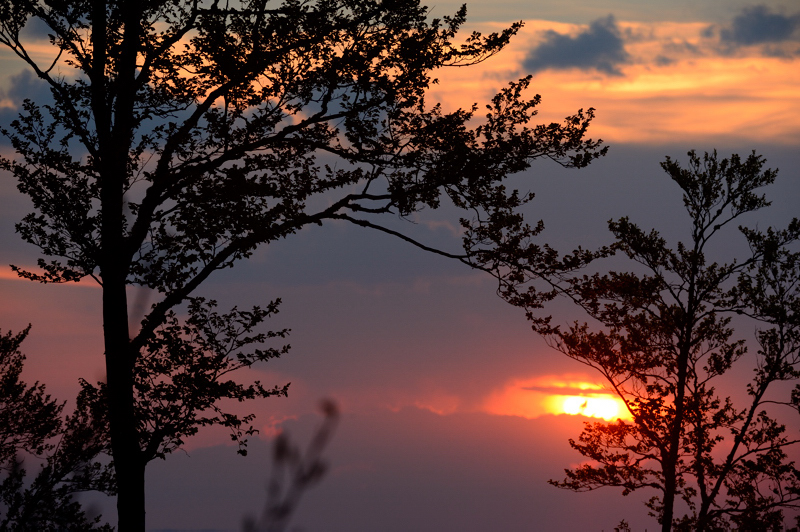 _0003083.jpg - Le soleil se couche vers 21h15, heure à laquelle la Bécasse des bois commence à parcourir son territoire.
