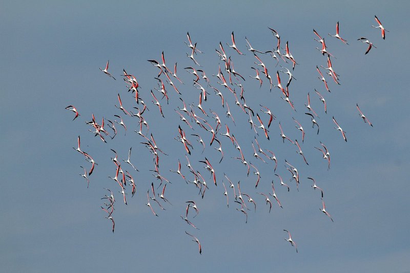 IMG_7047.JPG - IMG 7047: virage serré, façon patrouille suisse