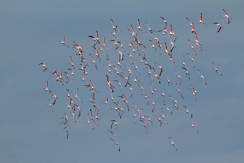 IMG_7047.JPG - IMG 7047: virage serré, façon patrouille suisse