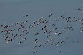 IMG_7030
