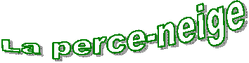 La perce-neige