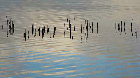 reflets