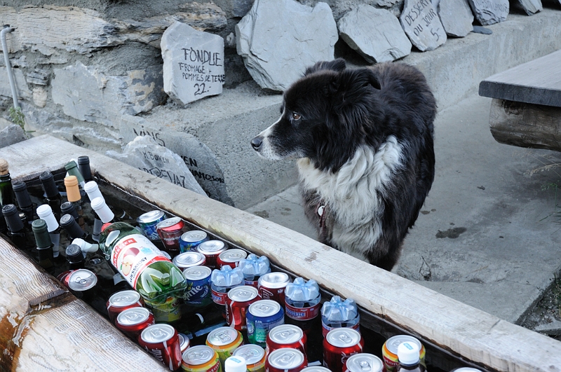 combeA_8b.jpg - De précieuses boissons bien gardées.