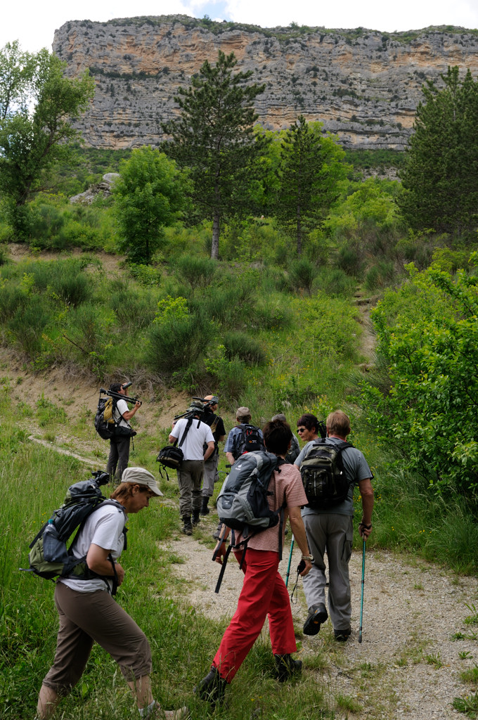 _0028561.jpg - Nous nous mettons aussitôt en marche pour monter au pied du rocher du Caire.
