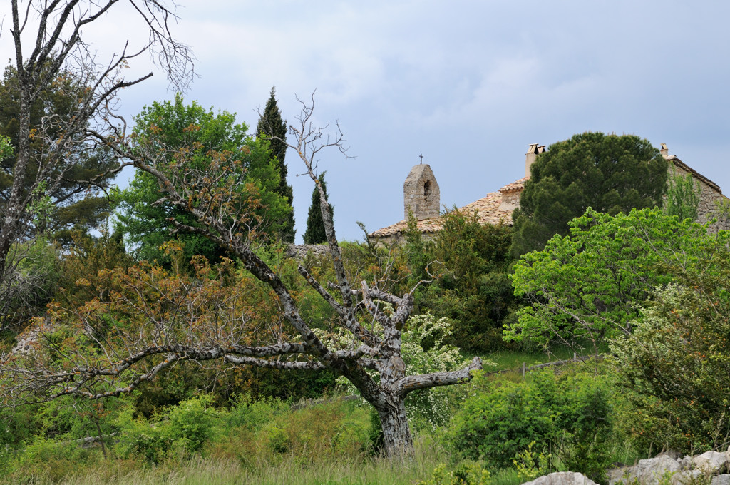 _0028685.jpg - La chapelle au milieu d'une végétation dense et variée.