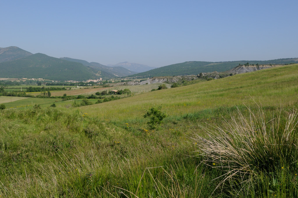 _0028739.jpg
