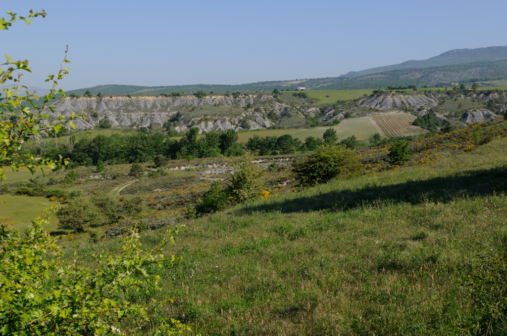 _0028756.jpg